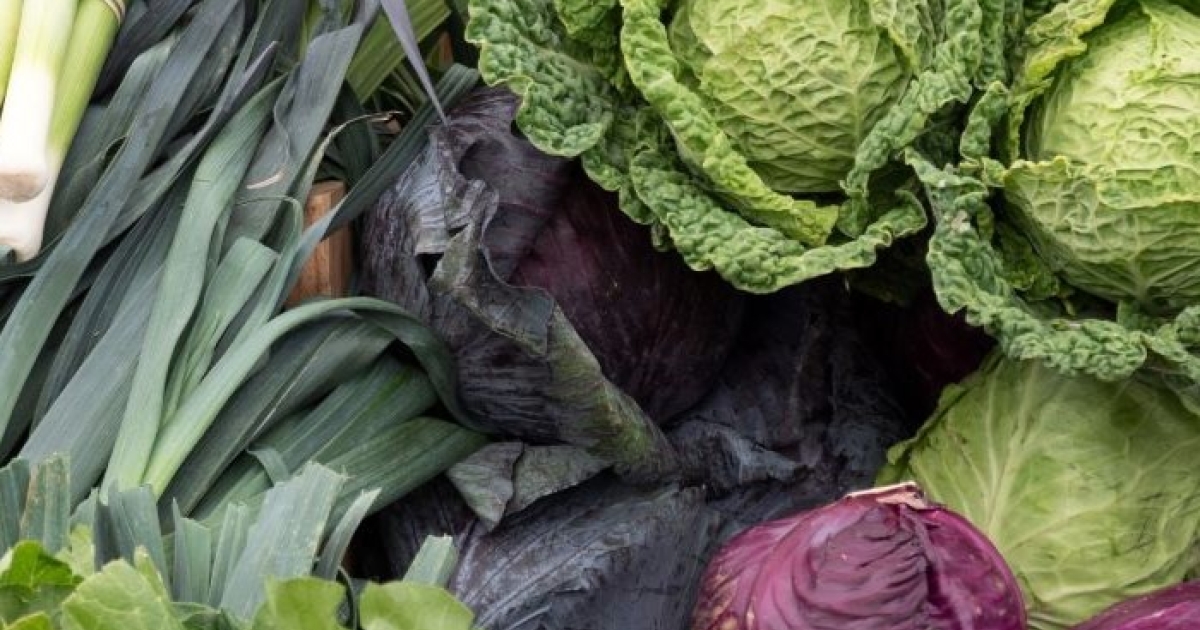 What’s in season: February produce guide | Center for Science in the ...