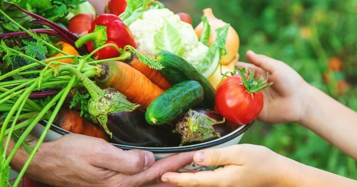 The Farm Bill: An opportunity to strengthen nutrition equity